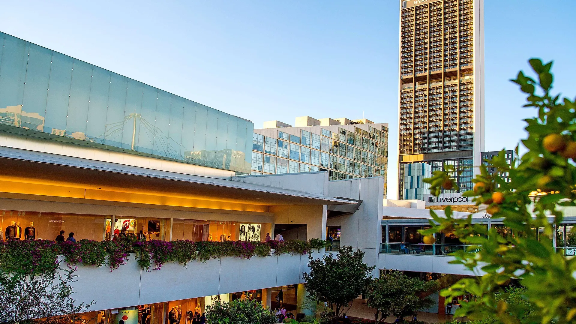 Hotel Hyatt Regency Andares Guadalajara Zapopan 5*,